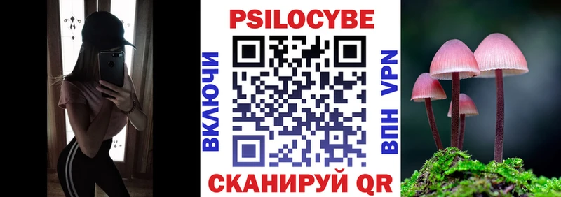 Галлюциногенные грибы Psilocybe  купить наркоту  Староминская 